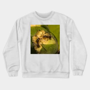 The Meeting Crewneck Sweatshirt